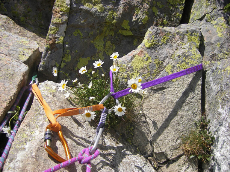 ESCALADE 1/2 Journée -  Rocher école